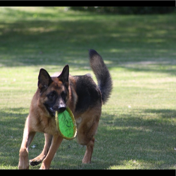 Meet your Posher, Debbie - Picture 6 of 8